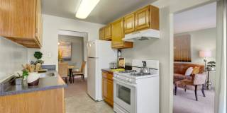 Cinnamon Run at Peppertree Farm Gallery 10