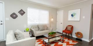 Bella 810 Gallery 3