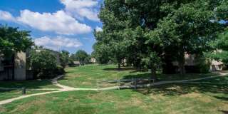 Forest Creek Gallery 16