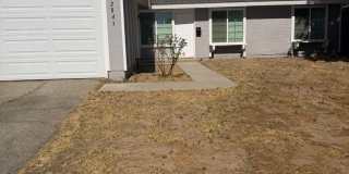 42843 Alep St Gallery 1