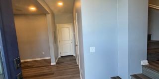 7819 Paxton Pl 7819 Paxton Pl Gallery 4