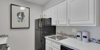 The Modern Gallery 8