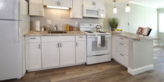 Sherwood Terrace Gallery 4