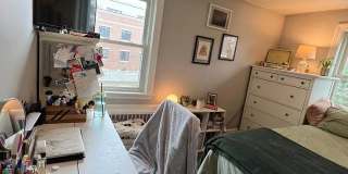 15 surrey St. Gallery 8
