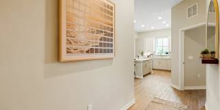 RISE Sereno Gallery 9