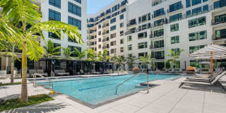 Aster & Links Gallery 17