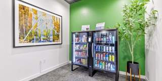 Radiate Gallery 26