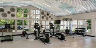 Halstead Burke Gallery 16