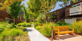 Peartree Apartments Gallery 29