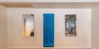 Trellis North Fayette Gallery 39