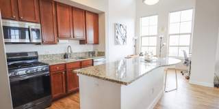 Gorgeous 1 bed 1 bath in an amazing location Gallery 5