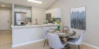 Ariel Springs Gallery 46