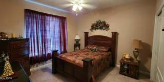 3241 Mountain Spring Way Gallery 6