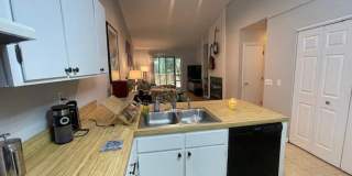 907-A Chatham Street - Bev Roberts Rentals and Property Manager Gallery 3