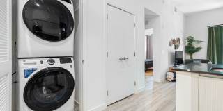 The Reese Gallery 12