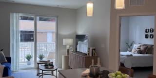 Rivage at Acton Gallery 2