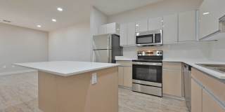 The Tree Apartments Gallery 28