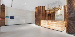 Alina II Gallery 45