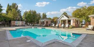 Pinebrook Gallery 64