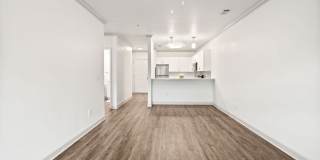 Olympus Carrington Gallery 8