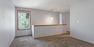 Donna Court Gallery 12