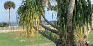 6003 S Indian River Dr Gallery 10