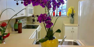8342 Bernwood Cove Loop Gallery 4