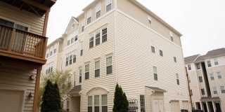 42294 SAN JUAN Terrace Gallery 1