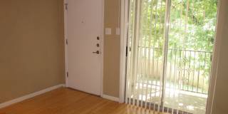 Adorable 1 bedroom apartment Gallery 1