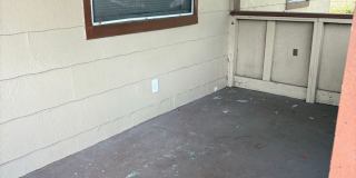 House for Rent - St Petersburg 3 Bedroom 1 Bath w WD Room Gallery 16