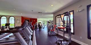 TGM Bermuda Island Gallery 20