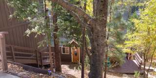 Lake Rights Property!! Terrific Alpine Chalet!! Gallery 5