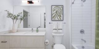 The Alder Gallery 11