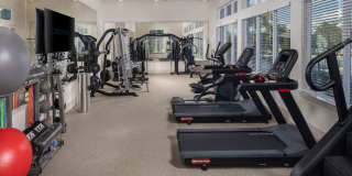 Cielo View Gallery 3