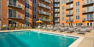 TGM Northshore Gallery 24