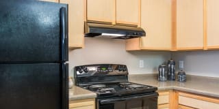 PeakView at T-Bone Ranch Apartments Gallery 7