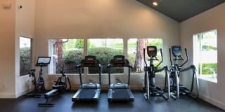 The Arbors Gallery 33