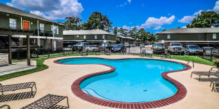 Spring Pine Gallery 19