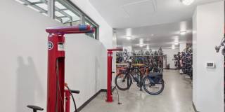 Eleanor Eleanor Gallery 10