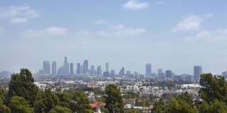 The Avenue Hollywood Gallery 13