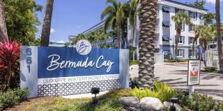 Bermuda Cay Gallery 37