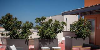 Celsius Apartments Gallery 9