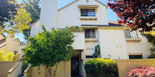 Willow Glen Downstairs Condo - Available Soon! Willow Glen Downstairs Condo - Available Soon! Gallery 1