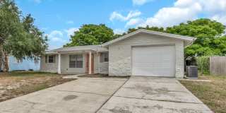 Charming 2BD/2BTH Updated Home in Port Richey Gallery 3