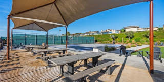 33611 Marlinspike Gallery 42