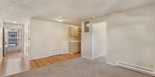 Dolphin Apartments Gallery 14