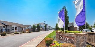 Aster Townhomes Gallery 1