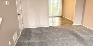 Southdale Square Gallery 91