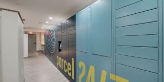 The Briscoe River Oaks Gallery 15