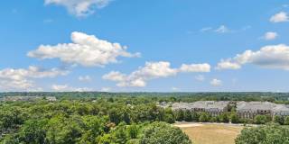 5901 MOUNT EAGLE Drive Gallery 7